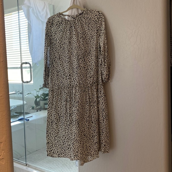 Who what wear leopard print 100% cotton dress - Picture 1 of 5